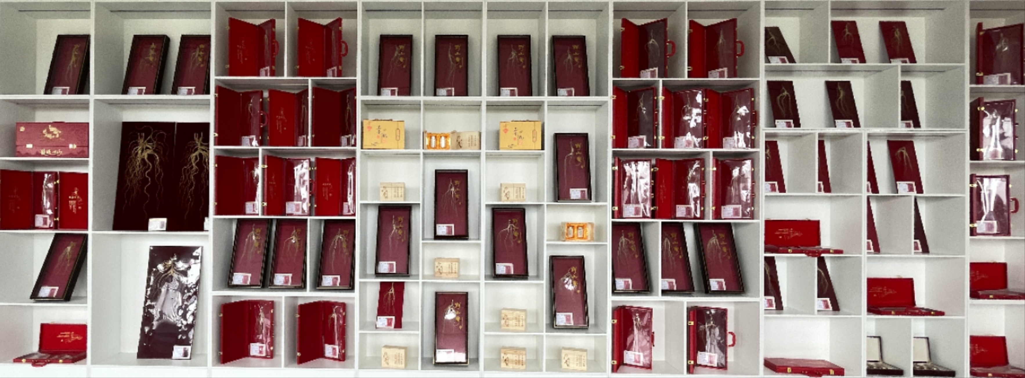 1711330515802359.jpg 5c330d23ba3edfebf5e4d51c50a6a0d.jpg