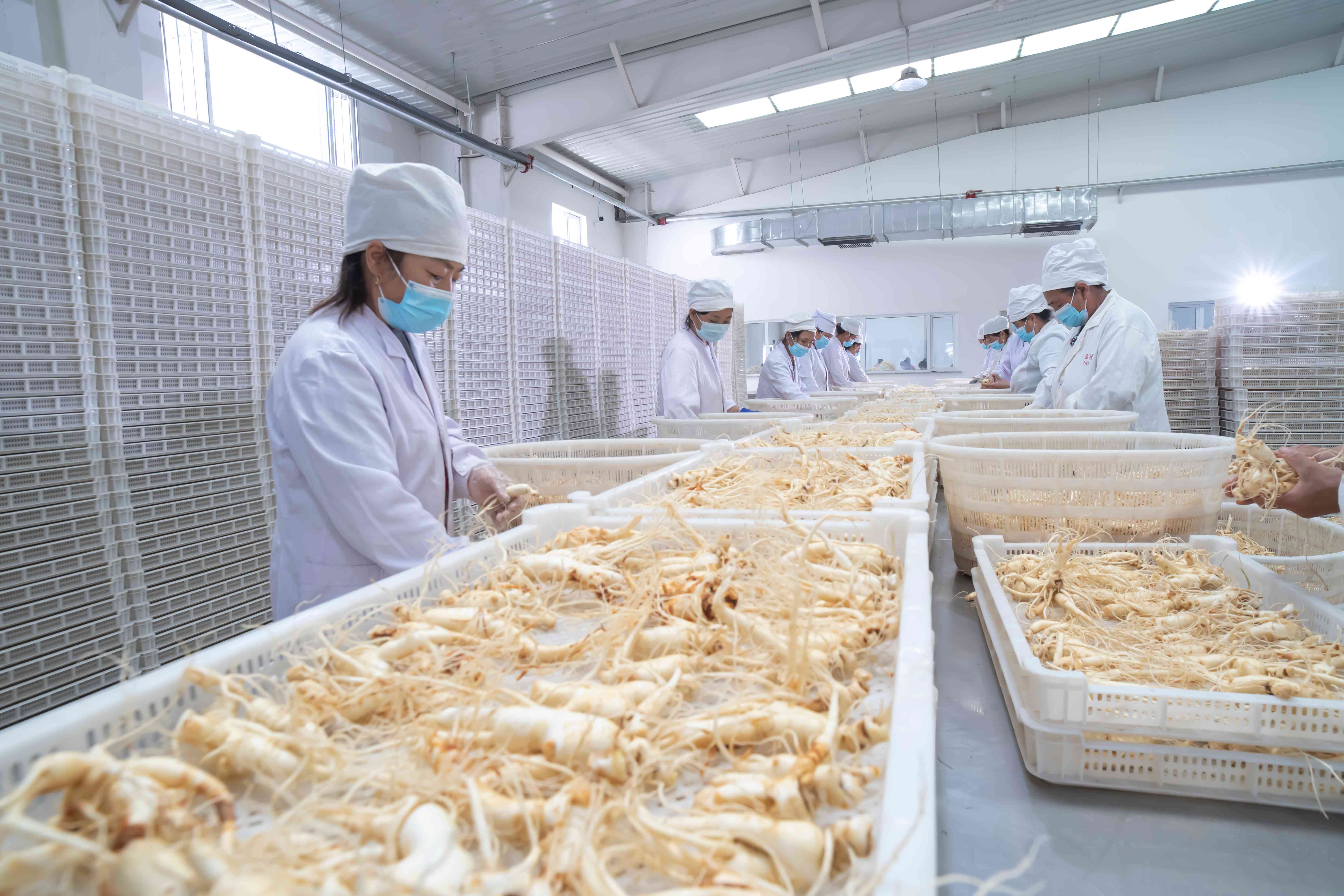 1711332658750056.jpg 初加工車間(1).jpg